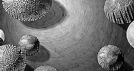 The Clarity Act’s Four-Year Timer: Why the Ban on Political Tokens Is a Short-Term Fix with Long-Term Risks The Clarity Act’s Four-Year Timer: Why the Ban on Political Tokens Is a Short-Term Fix with Long-Term Risks